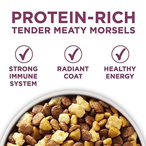 Alimento Para Perro, Pet Products one smart blend Marca PURINA ONE (3)
