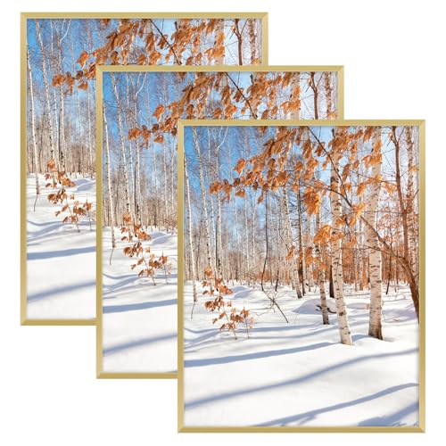 Golden State Art, 14x18 Aluminum Picture Frame, Gold Metal Thin