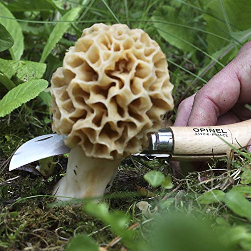 Geschenke für Naturfreunde