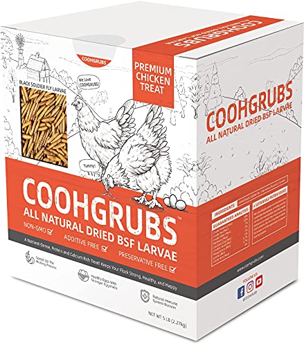 COOHGRUBS Premium Grade Dried Black Soldier Fly Larvae for Chickens and Other Poultry 5 lb. Box