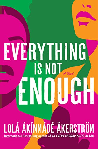 Everything Is Not Enough: A Novel view 2