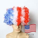 バラエティ本舗 アフロ かつら 国旗 タイプ (アメリカ) [ ナショナル フラッグ カツラ 仮装 衣装 コスプレ ]