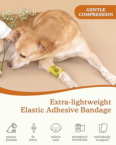image for FriPuP Dog Paw Bandages for Wounds - Self-Adhesive Bandage Wrap for Wo