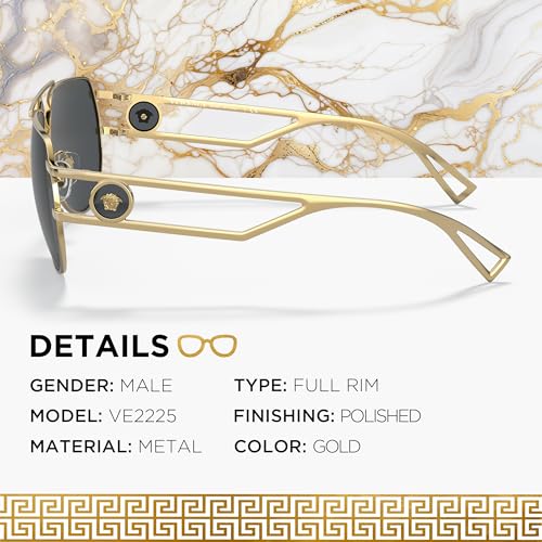 VERSACE VE2225 Medusa '95 PILOT Shape Sunglasses with Luxury Eyewear kit3