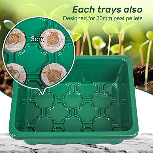 5-Pack-Seed-Starter-Tray-Seedling-Starter-Kits-Plant-Starter-Kit-with-Humidity-Domes-and-Base-Indoor-Greenhouse-Mini-Propagator-Station-for-Seeds-Growing-Starting-12-Cells-per-Tray-Green 5-Pack-Seed-Starter-Tray-Seedling-Starter-Kits-Plant-Starter-Kit-with-Humidity-Domes-and-Base-Indoor-Greenhouse-Mini-Propagator-Station-for-Seeds-Growing-Starting-12-Cells-per-Tray-Green