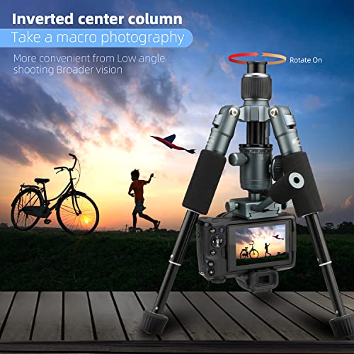 Glorich Portable Tabletop 20” Mini Tripod with 360 Degree