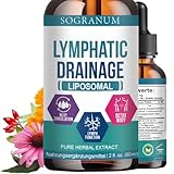 Lymphdrainage Liposomal| Blut Zirkulation, Phlebitis, Blutdruck | System Detox Cleanse Echinacea Mariendistel Sonnenhut Wegerichblatt | 60ml