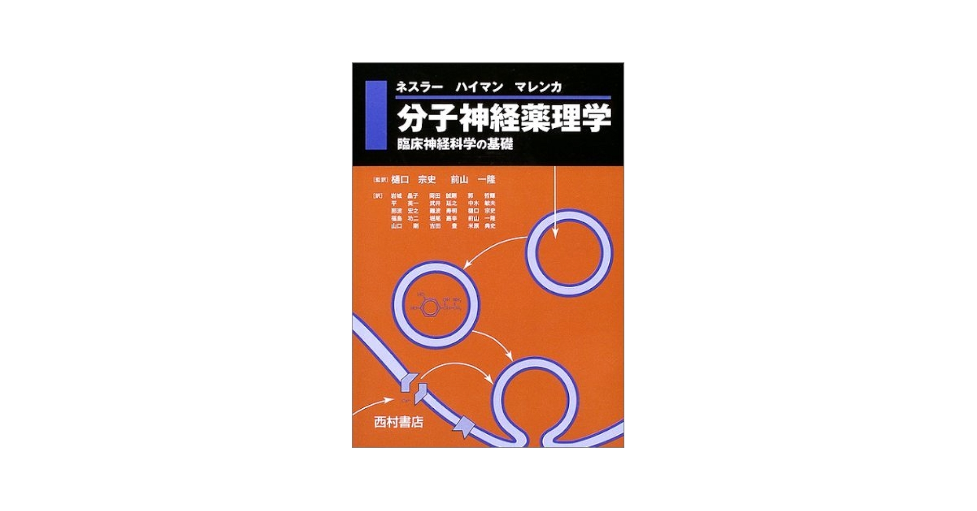裁断済み   4点セット   NEW薬理学+ネスラー分子神経薬理学 分子神経薬理学: 臨床神経科学の基礎 | ネスラー, 岩城 晶子 |本