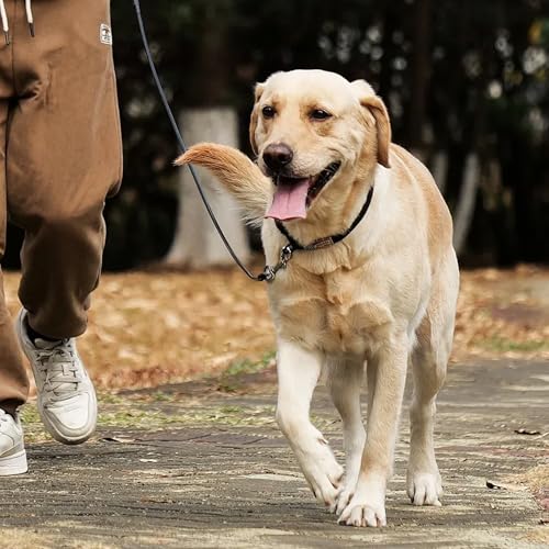 Omnikryp 2 Stück Hundeleine, 60 cm Führleine mit Karabiner Stahldrahtseil, Hundeleinen Wetterfeste, Hundeleine Bissfest zum Trainieren und Gassi Gehen für Welpen Kleine Mittlere Große Hunde, Schwarz