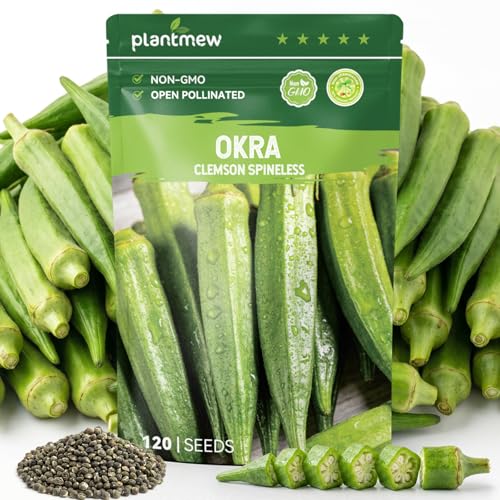 PLANTMEW Clemson Spineless Okra Seeds for Planting 120 Heirloom Seeds Heat-Tolerant & High-Yielding Fast Growing Vegetable Seeds for Outdoor Gardens