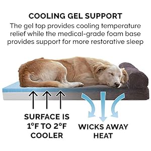 Furhaven Cooling Gel Dog Bed for Large Dogs w Removable Bolster Washable Cover For Dogs Up to 125 lbs Fleece Corduroy Bolster Chaise Dark Espresso Jumbo PlusXXL