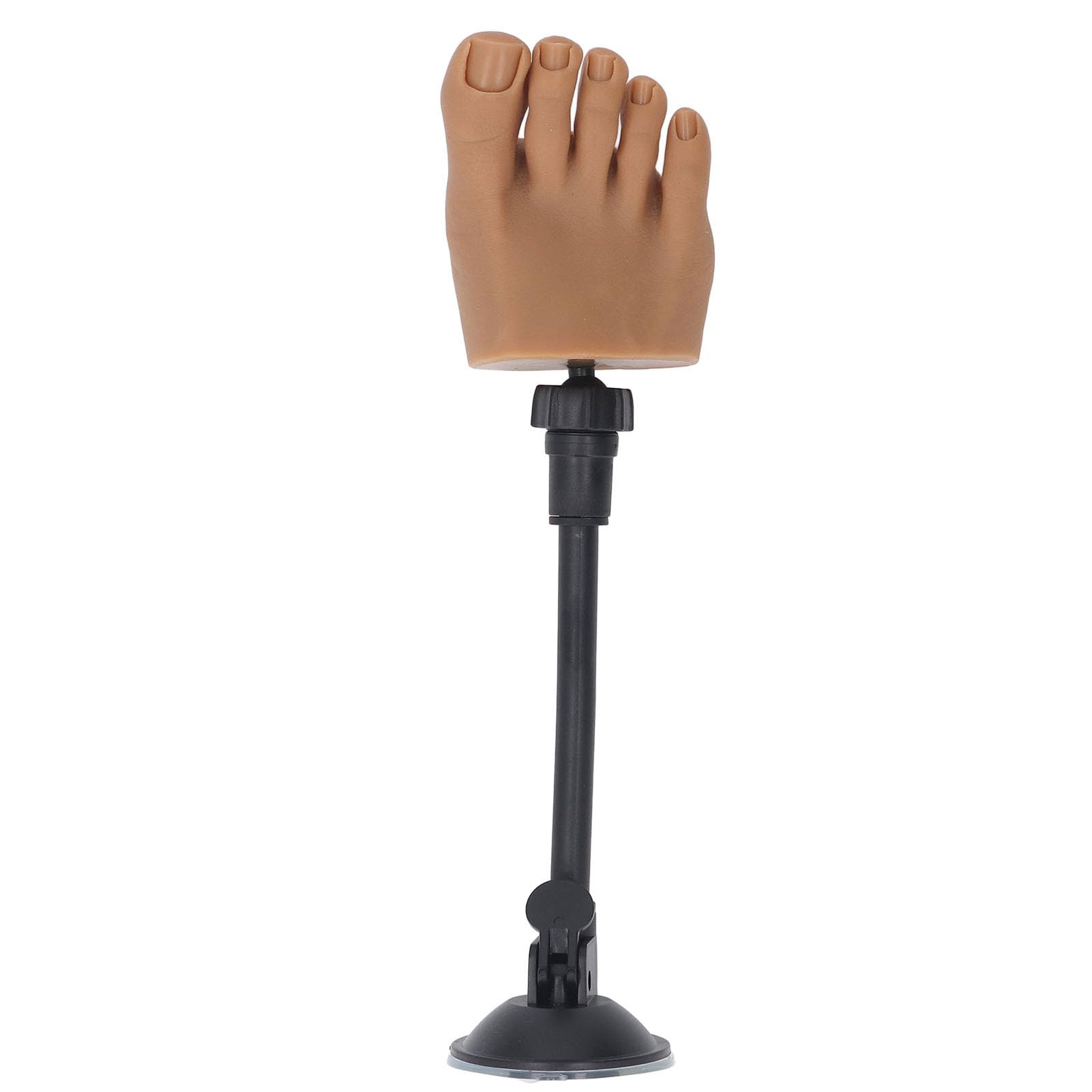 Semme Silicone Nail Practice Foot Left Foot With Stand (Piede destro)