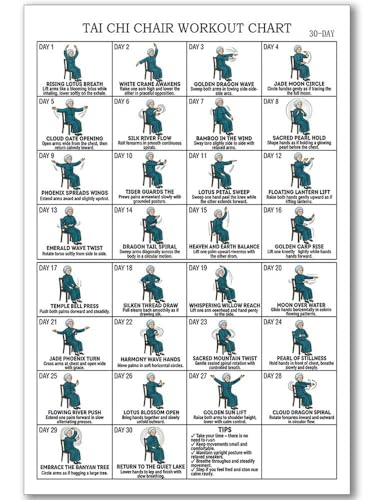 Tai Chi Chair Workout Chart for Seniors and Beginners - 30 Day Seated Exercise Poster Print Canvas Wall Art Living Room Bedroom Home Gym Decor 12x18 Inch Unframed B
