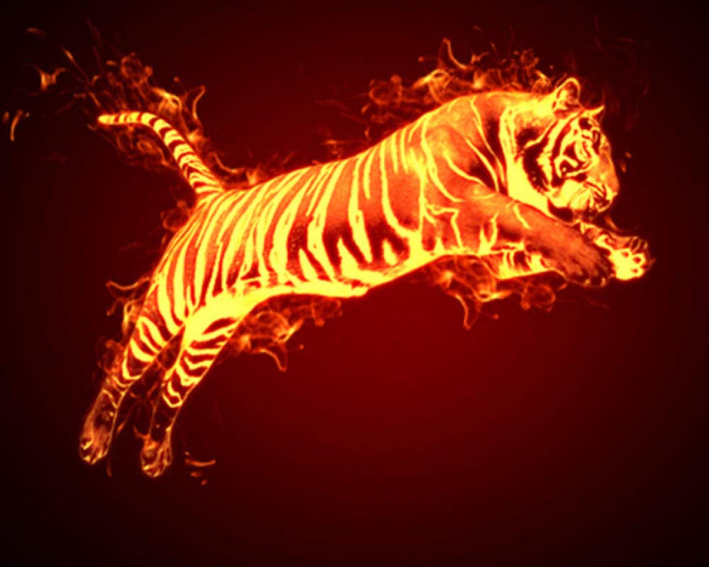 IJBSDJI Oil Paint By Number Kits For Kids & Adults Beginner – Home Decoration Crafts Painting On Canvas Numbers Kit With Brushes And Acrylic Pigmen,Flying Tiger,-16 X 20 Inch(Without Frame)