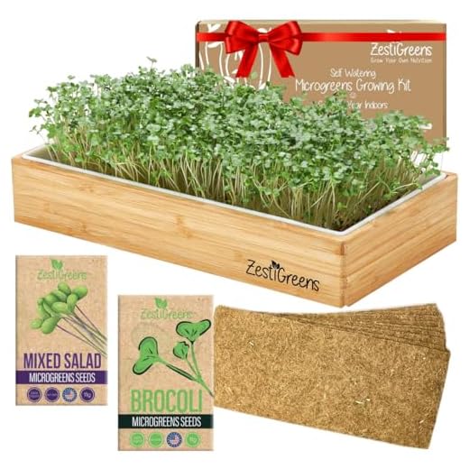 Self-Watering Microgreens Kit with Bamboo Frame