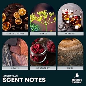 Coco Canary 6.7 oz Reed Diffusers for Home, Manhattan, Reed Diffuser for Men and Women, Reed Diffuser for Office, Apartment Must Haves, Reed Diffuser Set for Bathroom, Diffuser Set Coco Canary 67 oz Reed Diffusers for Home Manhattan Reed Diffuser for Men and Women Reed Diffuser for Office Apartment Must Haves Reed Diffuser Set for Bathroom Diffuser Set