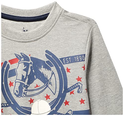 Image of U.S. POLO ASSN. Boys Cotton Turtle Neck Sweatshirt