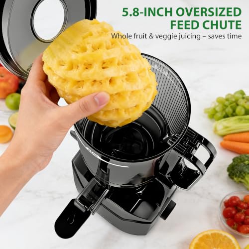 Image of SUSTEAS Juicer Machines, 2-in-1 Cold Press Juicer Strainer (Juice & Sorbet)