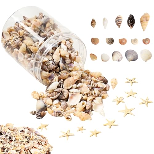 HAPY SHOP 1200 Pieces Tiny Sea Shells Small Natural Starfish Mixed Ocean Beach Spiral Seashells for Home Decorations Wedding Decor Candle Making Beach Theme Party DIY Crafts and Vase Filler