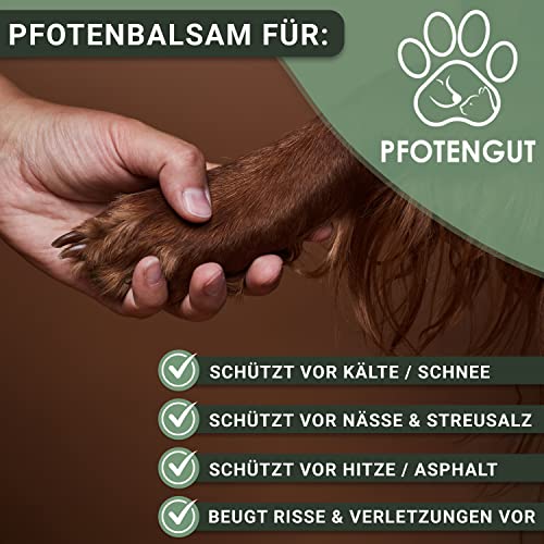 PFOTENGUT® Pfotenbalsam 100ml [Made in Germany] - Pfotenpflege für Hunde gegen trockene und Wunde Pfoten - Hochwertiger Pfotenschutz für Hunde mit Bienenwachs, Sheabutter & Aprikosenkernöl