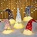 5 Piezas Gnomos Navideños, Nomos De Navidad con Luz, Gnomo Navidad, Muñecos Navideños con Luces, Gnomo De Decoración Navideña, para Casitas De Navidad Decoracion y Navideño Decoración Mesa