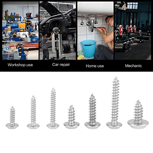 Tornillos autoperforantes Pan 220 pcs acero inoxidable miniatura 5
