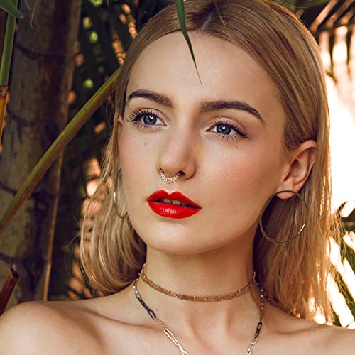 Ironbox Fake Nose Ring Magnetic Nose Ring Faux Magnetic Septum Nose Ring Studs Hoops Fake Nose Piercings Nose Cuffs Magnet Faux Pretend Nose Ring #TOP2