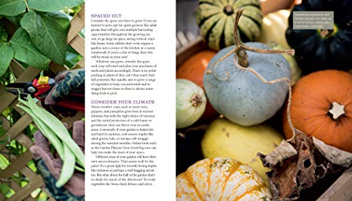 Growveg: The Beginner's Guide to Easy Vegetable Gardening