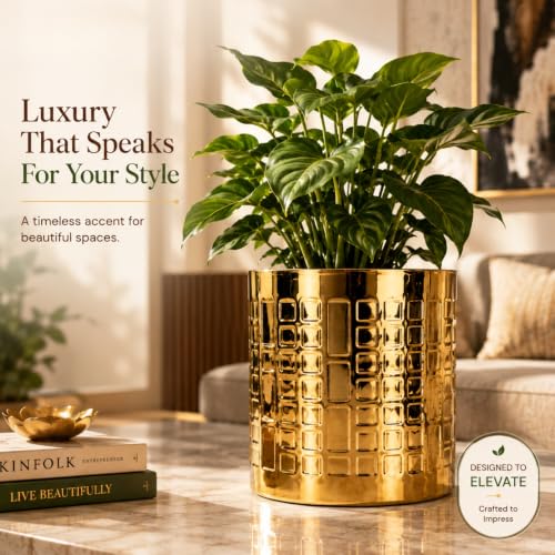 Image of ecofynd 1 Pack Metal Plant Pots (6 inch), Indoor Small Planter Flower Pots, Home Garden Decor Planter for Living Room Bedroom Interior (Gold Finish, POT055)