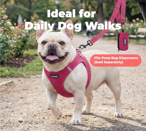 Image of Voyager Reflective Dog Leash with Neoprene Handle, 5ft Long, Supports Small, Medium, and Large Breed Puppies, Cute and Heavy Duty for Walking, Running, and Training - Fuchsia, S