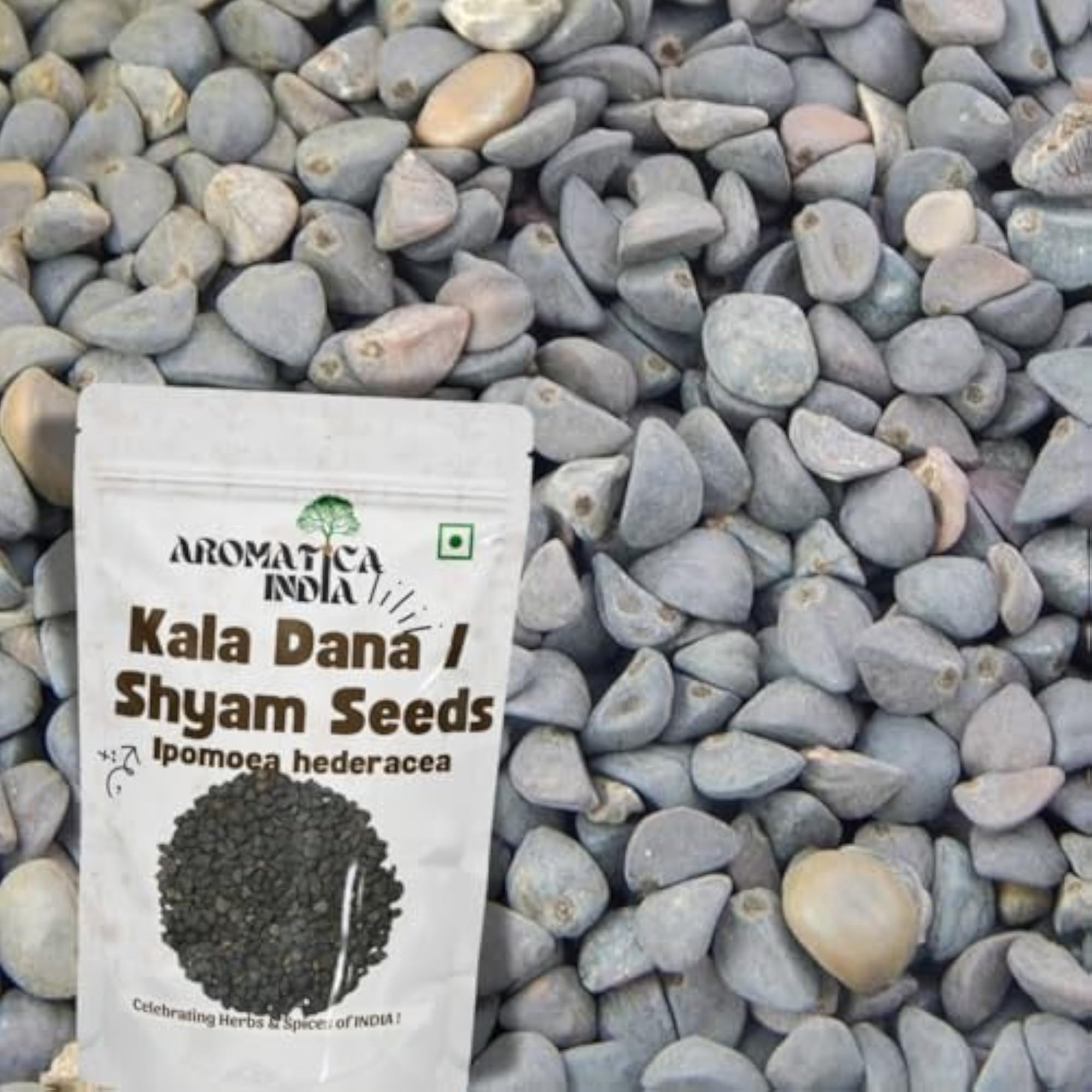 Aromatica Kala Dana Shyam Seeds for Herbal Use