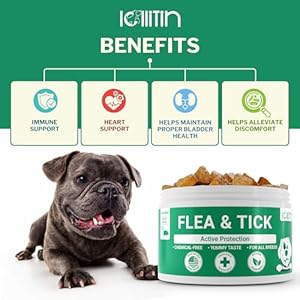 Flea-and-Tick-Prevention-for-Dogs-Dog-Chews-for-Flea-and-Tick-Control-All-Natural-Supplement-for-Dogs-All-Breeds-and-Ages-Made-in-USA-120-Chews-Bacon-Flavor-by-Lollitin - Cucciolini Doodles   Flea-and-Tick-Prevention-for-Dogs-Dog-Chews-for-Flea-and-Tick-Control-All-Natural-Supplement-for-Dogs-All-Breeds-and-Ages-Made-in-USA-120-Chews-Bacon-Flavor-by-Lollitin