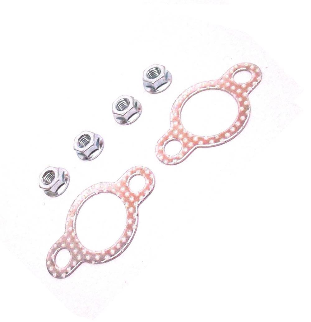 Amazon.com: Eopzol 25-786-01-S Muffler Hardware Kit