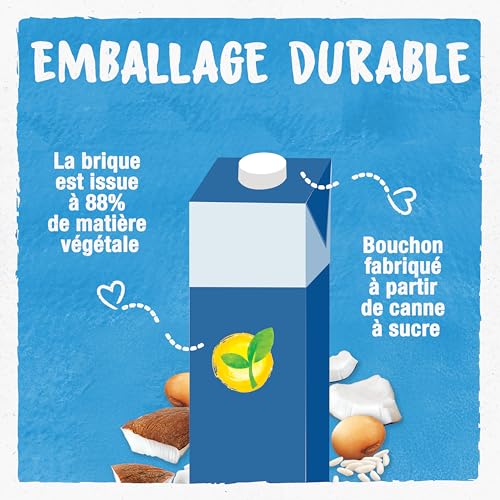 Boisson Végétale Bio Riz Coco Soja Bjorg La Brique De - vue 6