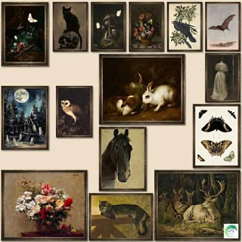 LANCHI95 15PCS Dark Cottagecore Decor, Dark Academia Decors, Cottage Core