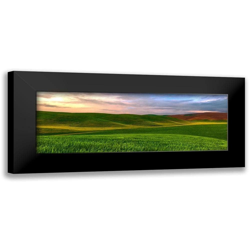 ArtDirect - McLoughlin, James 18x9 Black Modern Framed Art Print Titled: Farmscape Panorama VI
