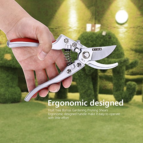 Tijeras de podar profesional para bonsái y jardín miniatura 5