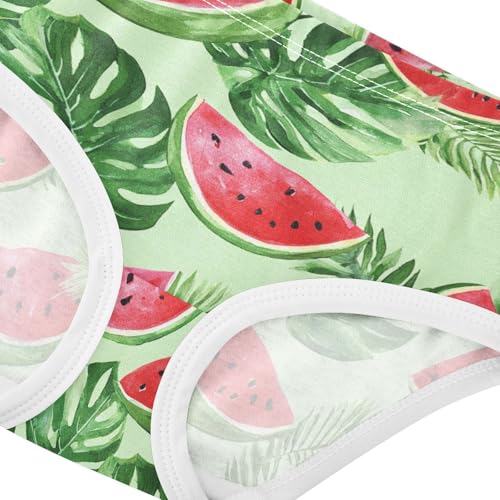 Wusikd Tropical Leaves Girls' Underwear Cotton Watermelon Girls Briefs Soft Toddler Underwear 2T4