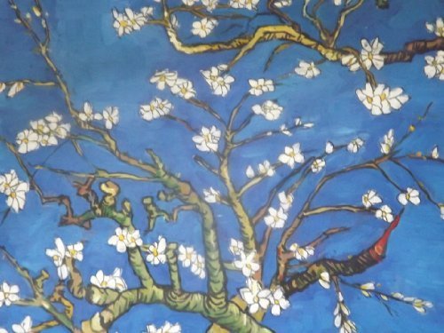 Tableau Amond Blossoms Van Gogh peinture à l'huile sur toile 50,8 x 61 cm