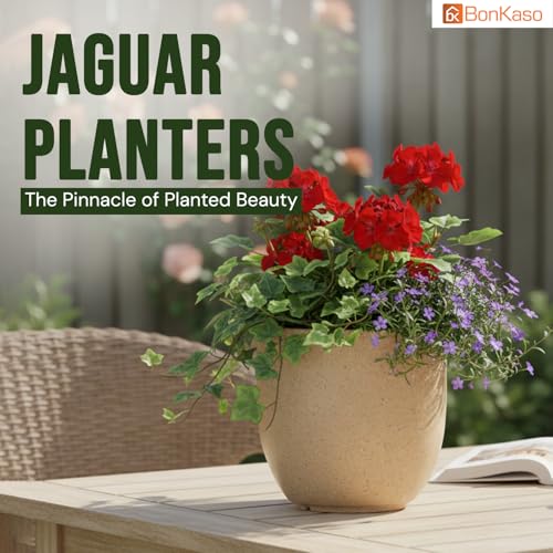 Image of BonKaso 8 Inch Jaguar Round Plant Pots | Highly Durable & Lightweight Polymer Planter for Indoor & Outdoor Use | Flower Pot (Gamla /Gamale) for Home, Office, Garden, Living Room & Balcony (Beige)