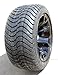 EFX Tires Lo-Pro Turf Rated Golf Cart Tire (225/35-12) Low Profile