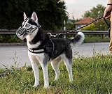 Maulkorb für Hunde, Metall, Hundemund, atmungsaktiv, verstellbare Leder-Leine, geeignet für große und mittelgroße Hunde (L)
