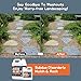 Rock Glue, 1Gallon Mulch Glue for Landscaping, Fast-Dry Strong Pea Gravel Stabilizer Landscape, Non-Toxic Long-Lasting Dries-Clear Strong Pea Gravel Binder for Pebble, Pine Straw for Outdoor Gardens
