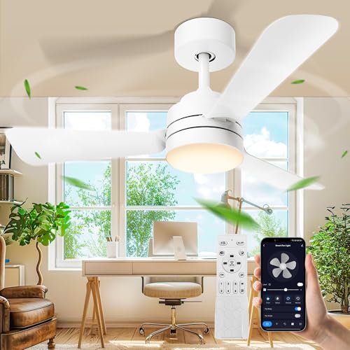 28'Ceiling Fans with Lights, Flush Mount Ceiling Fans with Light and...