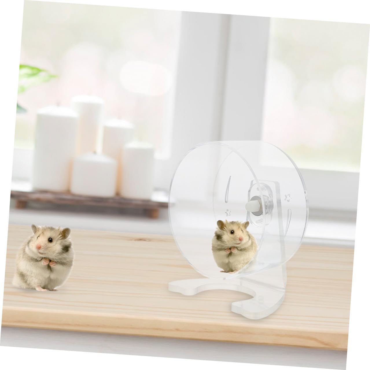 Mikikit Rueda de Ejercicio Silenciosa para Hámster con Soporte Rueda Transparente de 22 CM de Diámetro para Jerbos y Ratones Pequeños Material Plástico Resistente para Jaulas de