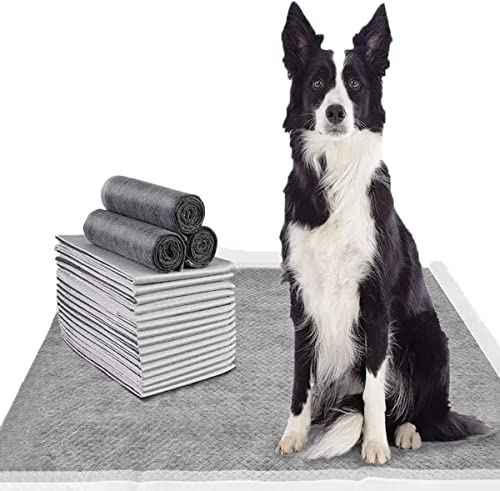 Ships from Singapore | Charcoal Pee Pad for Dogs Cats Pet Diapers Deodorant Dog Training Pee Pad Absorbent Nappy Mat Pet (Charcoal Pee Pad S (33x45cm) - 100pcs)