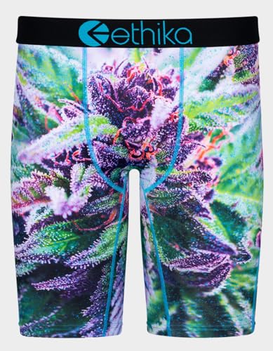 Ethika Mens Staple Boxer Brief | Grape kush (PRP, Medium)
