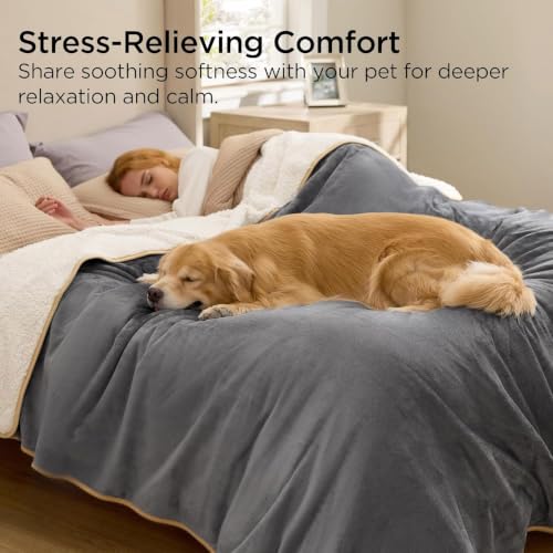 Image of Bedsure Waterproof Blanket for Bed - Sherpa Fleece Waterproof Dog Blankets for Large Dogs, Pet Blankets for Bed /Couch, Soft Plush Reversible Furniture Protector, Twin Size, 80 inchx60 inch, Grey