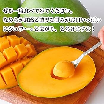 キーツマンゴー　るいさん専用 宮古島産「巨果・幻のキーツマンゴー」2玉 | Blue Turtle Farm