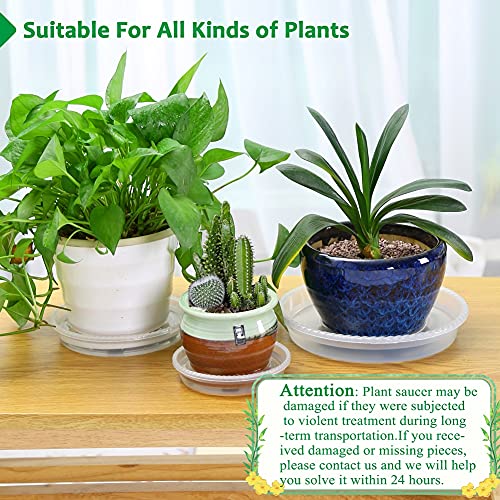 Fowabay 8 Pack Of 5'' Clear Plant Saucer Drip Trays, Plant Tray For Indoor And Outdoor Plants, Thicker & Sturdier & Durable Plastic Plant Saucers Plant Accessories Indoor #TOP6